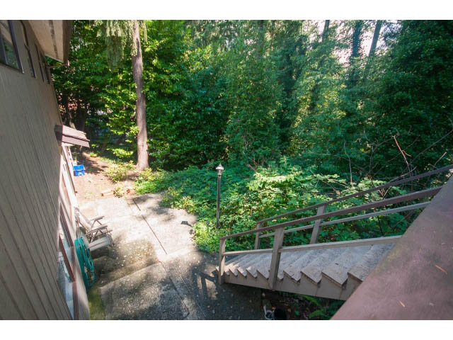 Staircase leading down to lush greenery, surrounded by dense trees. - Upper - 1998 Cortell St., North Vancouver