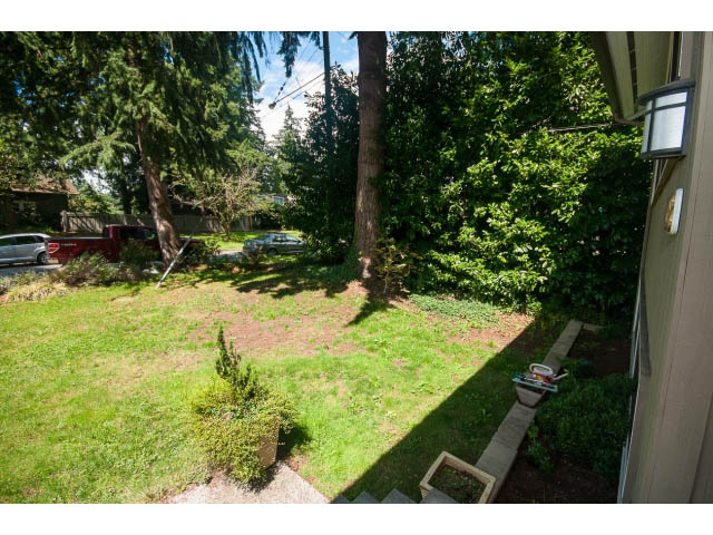 Bright and private backyard with lush greenery and a view of neighboring trees. - Upper - 1998 Cortell St., North Vancouver