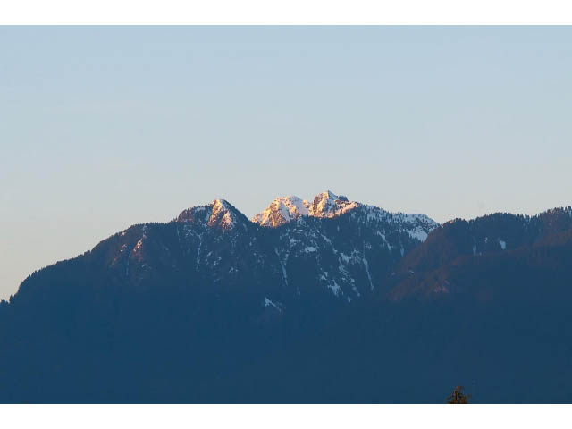 Spacious 2-bedroom condo with stunning mountain views and a serene atmosphere. - 402 - 2252 West 5th Ave, Vancouver West Side