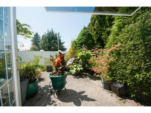 Furnished patio with potted plants and greenery, surrounded by trees. - 221 Carisbrooke Crescent, North Vancouver