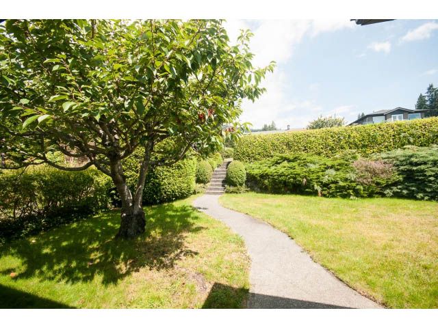 Lush garden with stone pathway leading to house, surrounded by greenery. - 221 Carisbrooke Crescent, North Vancouver