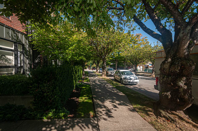 Furnished living room with cozy couch and large windows, bathed in natural light. - 2753 Guelph Street, Vancouver East Side