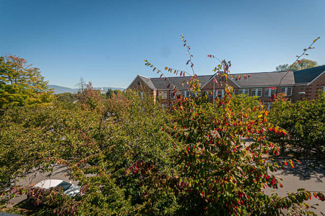 Furnished living room with city view and autumn foliage. - 2753 Guelph Street, Vancouver East Side