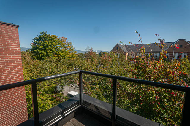 Balcony with views of trees and buildings, clear blue sky above. - 2753 Guelph Street, Vancouver East Side