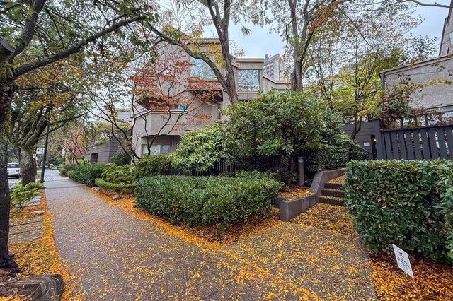 Laurel Court on a tree-lined block, landscaped hedges and rhododendrons, steps up from the sidewalk, autumn leaves on the pat