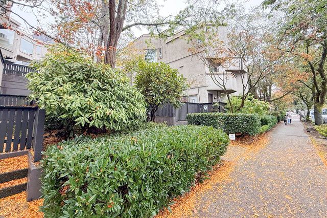 Townhouse complex behind lush trimmed hedges and mature trees, fenced patios and a sidewalk with autumn leaves.