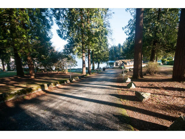 Furnished living room with large windows and tall trees casting shadows. - 15 - 2151 Banbury Rd, North Vancouver