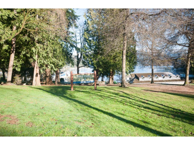 Lush green lawn with trees and water view, perfect for relaxation. - 15 - 2151 Banbury Rd, North Vancouver
