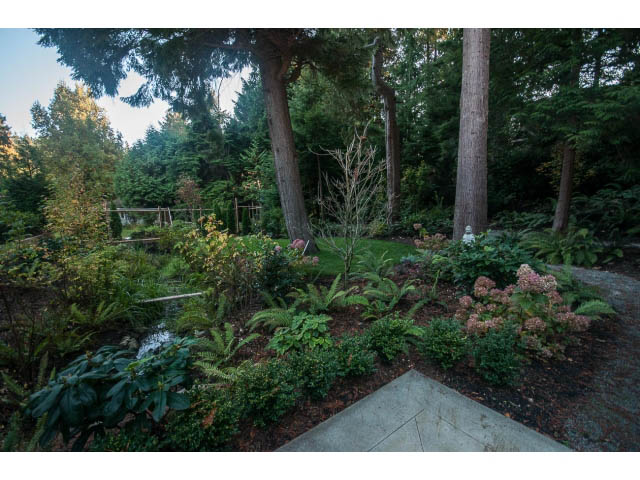 Furnished garden with lush greenery and tall trees. - 5070 Marine Drive, West Vancouver