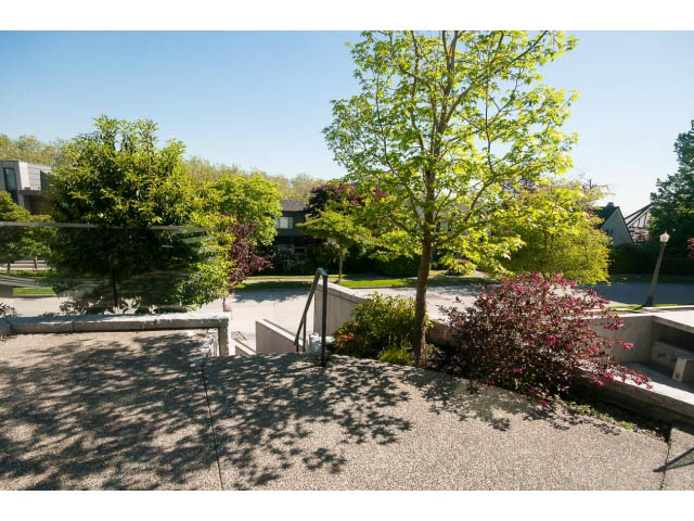 Furnished living room with large windows, greenery, and modern decor. - 3921 West 10th, Vancouver West Side