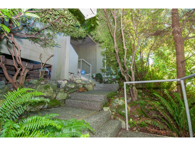 Furnished living area with lush greenery and stone steps leading up to the house. - 5338 Montiverdi Pl, West Vancouver
