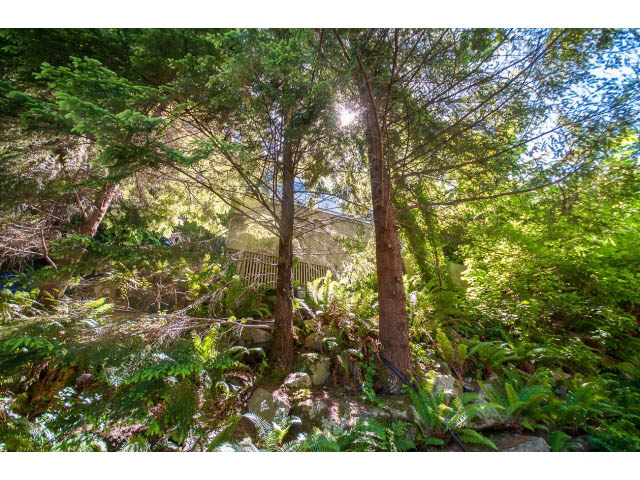 Bright garden with lush greenery and a wooden staircase leading up. - 5338 Montiverdi Pl, West Vancouver