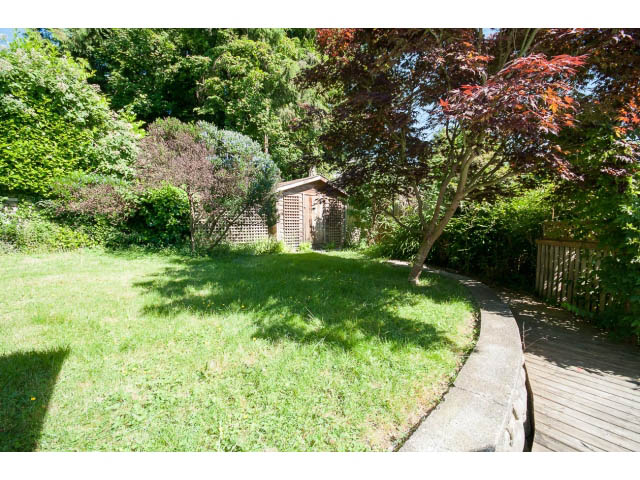 Bright outdoor space with lush greenery and a wooden deck. - 3626 Loraine Ave, North Vancouver