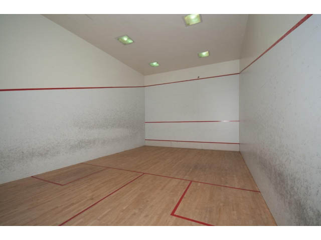 Bright living room with wooden flooring and built-in shelves. - 307 - 1490 Pennyfarthing Drive, Vancouver West Side