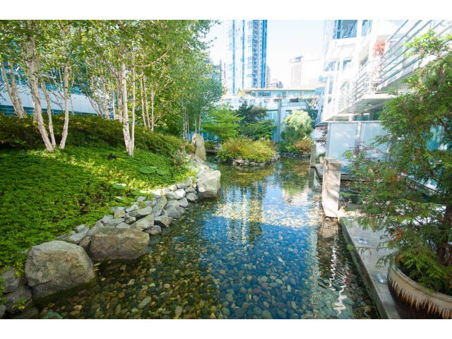 Bright and serene garden with a tranquil pond and lush greenery, perfect for relaxation. - 803 - 590 Nicola Street, Vancouver Downtown