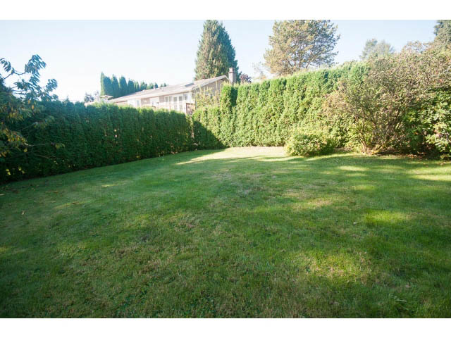 Spacious backyard with lush green lawn and tall hedges. - 4135 Golf drive, North Vancouver