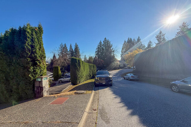 Quiet residential street lined with tall cedar hedges and evergreens, the stone address post at the driveway on the left.