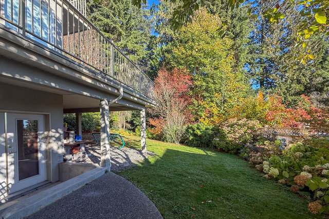 Private backyard lawn edged with hydrangeas and autumn trees, a covered patio under the deck and a glass door into the lower 