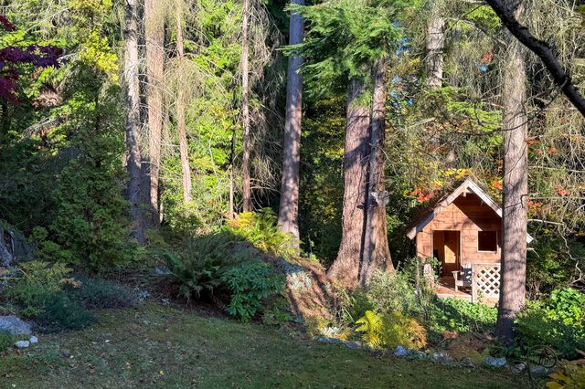 Backyard garden under tall evergreens with ferns, a small lawn and a wooden playhouse. - 3858 Sauve Place, North Vancouver