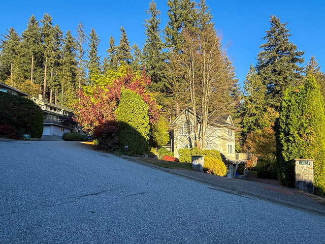 The house seen from the curving street among towering evergreens and autumn colour. - 3858 Sauve Place, North Vancouver
