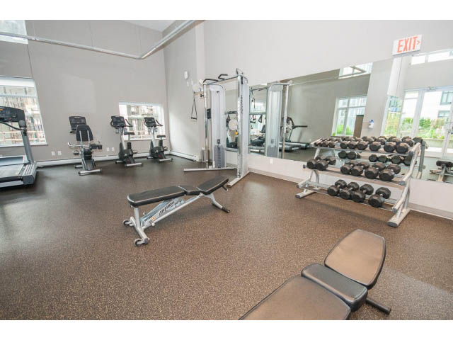 Spacious gym with cardio machines, weights, and mirrors. - 802 - 1708 Columbia St, Vancouver West Side
