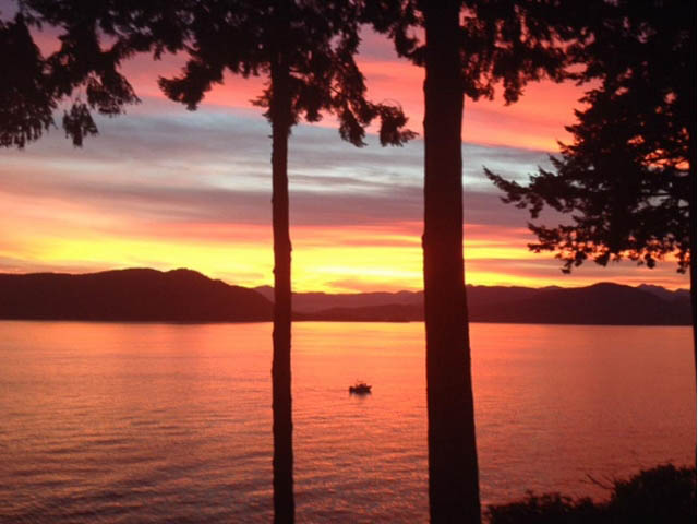 Furnished living room with a stunning sunset view and tall trees. - 8135 Pasco Rd, West Vancouver