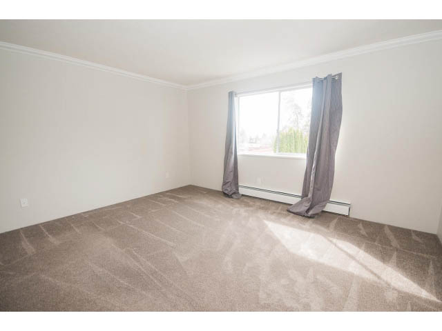 Bright den with carpeted floor and large window, letting in natural light. - Upper - 113 W Kings Rd, North Vancouver