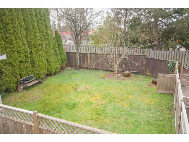 Furnished backyard with wooden fence, grass, and evergreen trees. - Upper - 113 W Kings Rd, North Vancouver