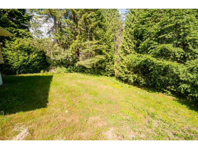 Bright living room with lush greenery and tall trees. - 315 Stevens Dr, West Vancouver