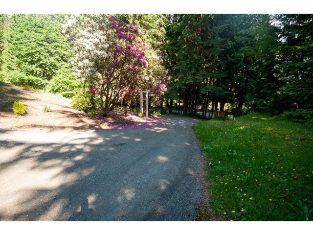 Bright patio with lush greenery and blooming flowers. - 315 Stevens Dr, West Vancouver