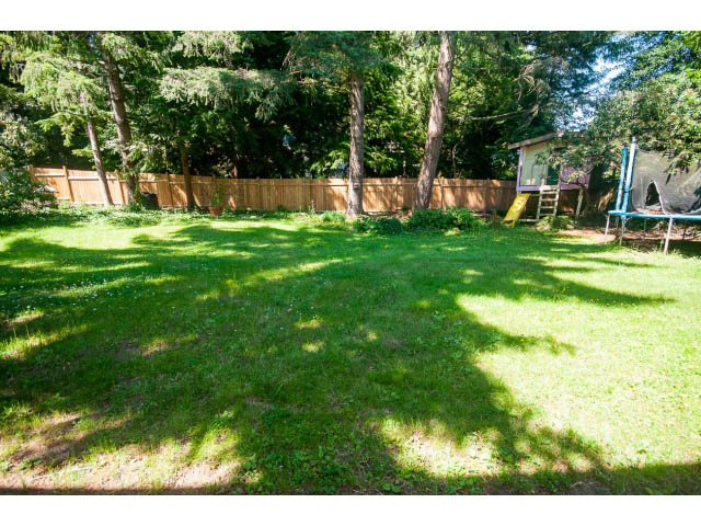 Lush backyard with green grass, wooden fence, and trees. - 640 East Queens Rd, North Vancouver