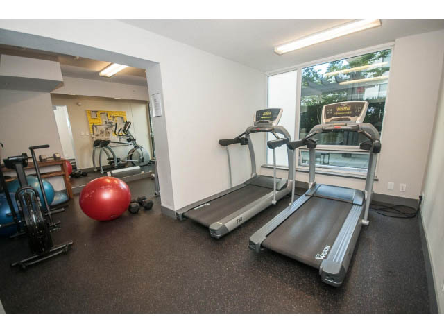 Bright and spacious gym with treadmills, exercise balls, and mirrors. - 301 - 1783 Manitoba St, Vancouver West Side