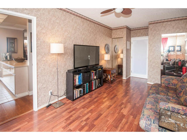 accommodations for rent