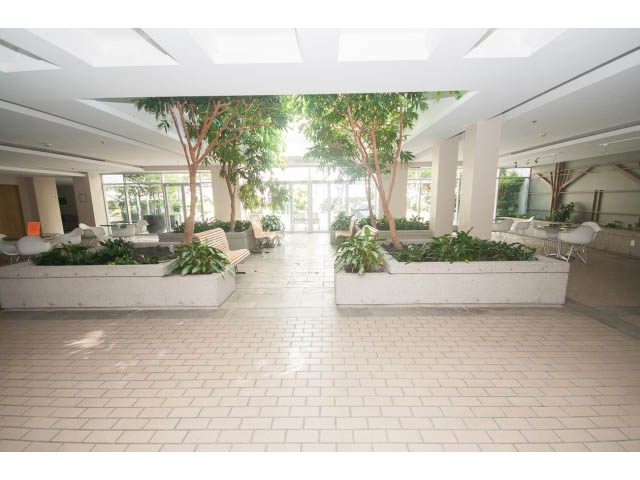Spacious living room with large windows, indoor plants, and modern furnishings. - 1213 - 989 Nelson, Vancouver Downtown