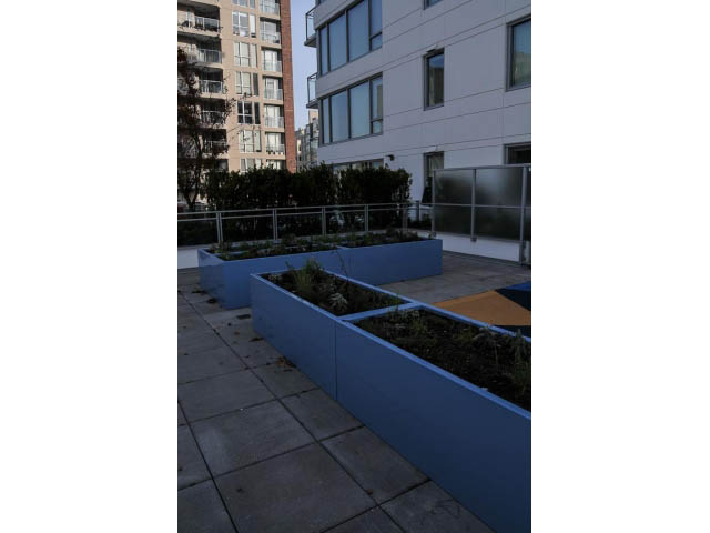 Furnished balcony with blue planters and city view. - 805 - 1009 Harwood Street, Vancouver Downtown