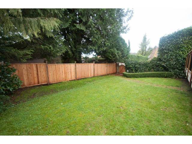 Lush backyard with wooden fence and manicured hedges. - 4428 Marine Drive, West Vancouver