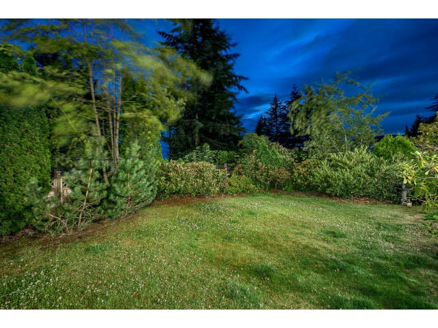 Furnished garden with lush greenery and a night sky. - 4287 Madeley Rd, North Vancouver