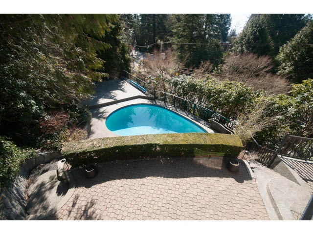Patio with steps leading to a pool, surrounded by lush greenery. - 3855 Bayridge Ave, West Vancouver