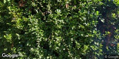 Street view of 4443 W 15th Ave