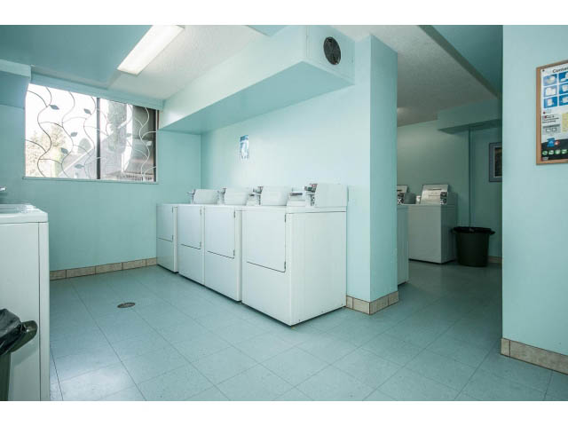 Laundry room with white machines and teal walls. - 1604 - 145 St Georges Ave, North Vancouver
