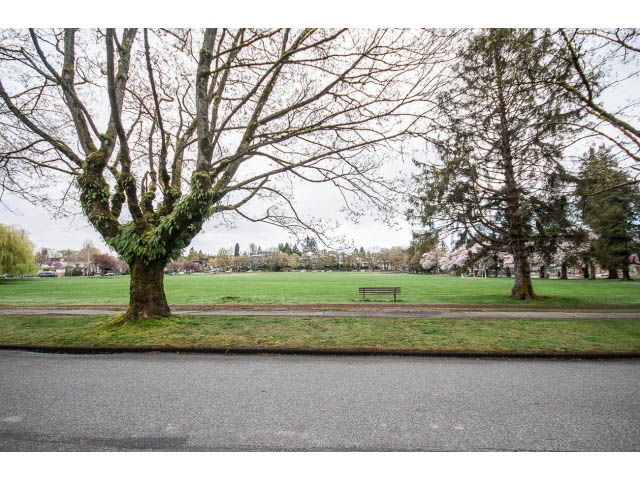 Lush green park with trees and grass, serene outdoor space. - 769 West 20th Ave, Vancouver West Side