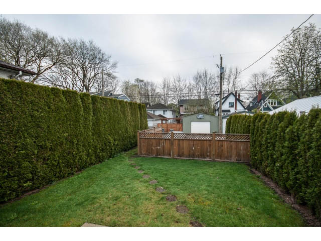 Fenced backyard with lush greenery and neighboring houses. - 769 West 20th Ave, Vancouver West Side
