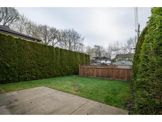 Fenced backyard with lush greenery and a concrete patio. - 769 West 20th Ave, Vancouver West Side