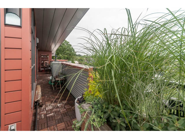 Bright rooftop patio with lush greenery and city view. - 4123 - 2250 Commercial Dr, Vancouver East Side