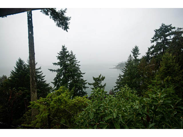 Foggy forest view from a 5-bedroom house at Kew Cliff Rd, West Vancouver. - 5385 Kew Cliff Rd, West Vancouver