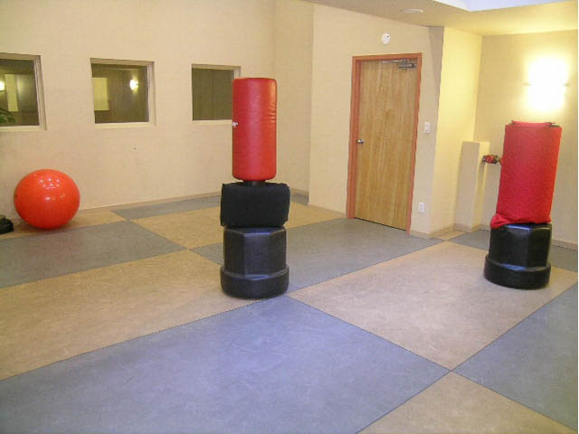 Fitness room with punching bags and exercise ball, checkered flooring. - 2204 - 1238 Richards Street, Vancouver Downtown