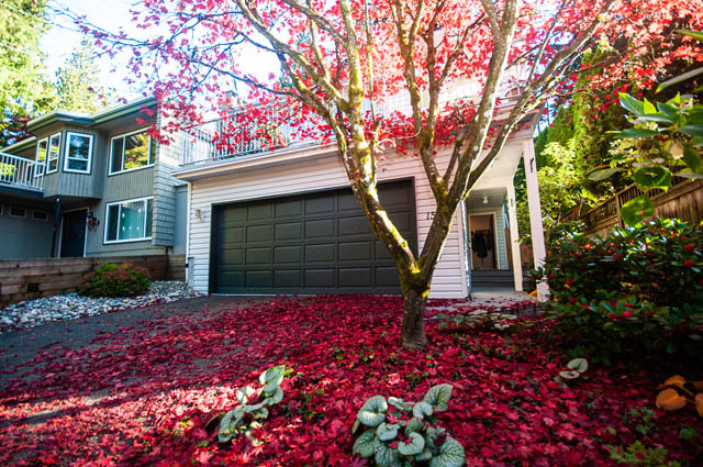 Bright living room with red autumn foliage and modern furnishings. - 1528 Edgewater Lane, North Vancouver
