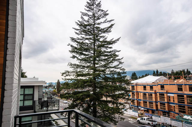Penthouse with city view and tall evergreen tree. - 404 - 733 E 3rd St, North Vancouver