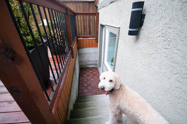 Furnished balcony with wooden railings and potted plants. - SUITE - 2806 Munday Place, North Vancouver