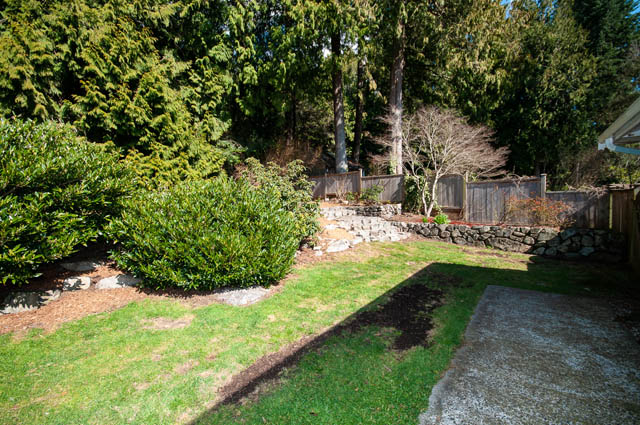 Lush backyard with stone walls and mature trees. - 4037 Ripple Road, West Vancouver